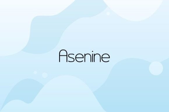 Asenine: The Elegant Typeface for Polished Brand Identity