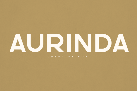 Aurinda: A Designer's Honest Review for Real Projects
