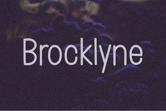 Brocklyne: A Designer's Honest Review for Real-World Projects