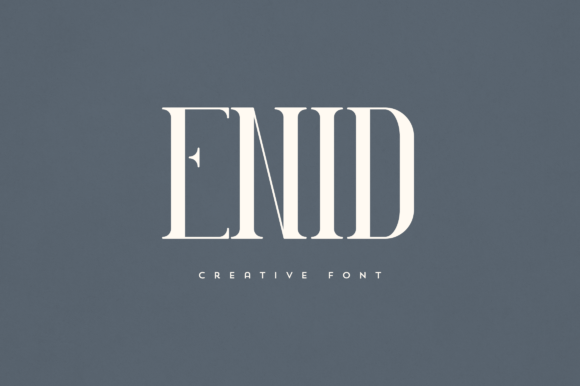 Enid: A Designer's Honest Review for Real-World Projects