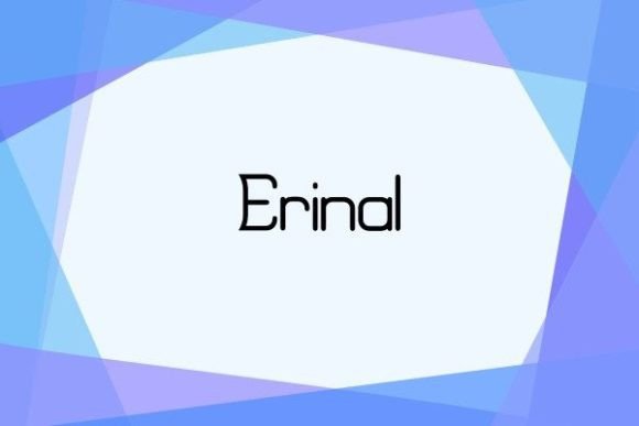 Erinal Typeface: A Classic Sans Serif for Modern Editorial Design