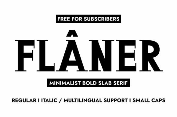 Flaner: The Slab Serif Font That Elevates Small Business Branding