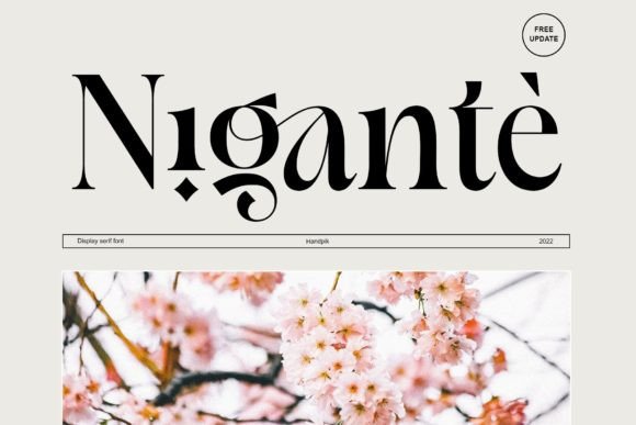 Nigante: The Elegant Serif Typeface for Handmade Branding