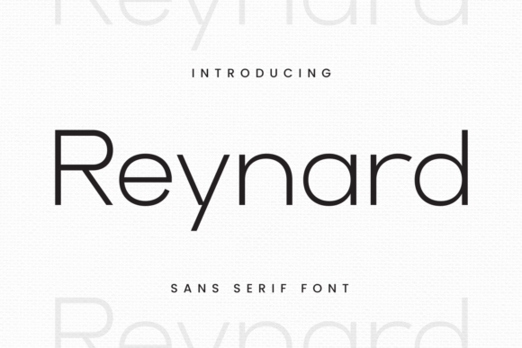 Reynard Font Review: A Thin Elegant Typeface for Modern Branding