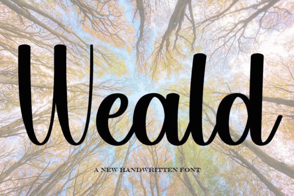 Weald: A Handwritten Typeface for Editorial Design